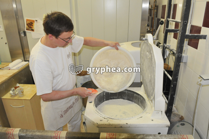 Versement de la pâte dans la diviseuse - gryphea.com